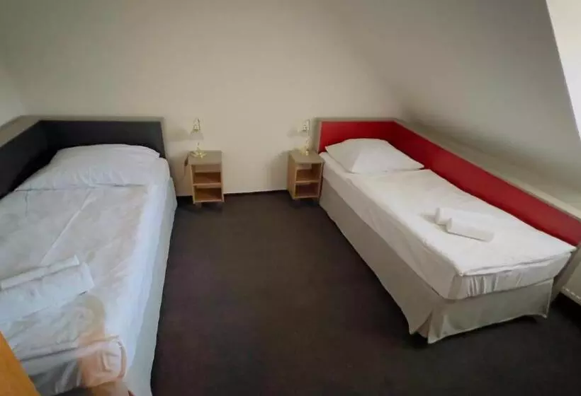 Habitació Estàndard, Payer
