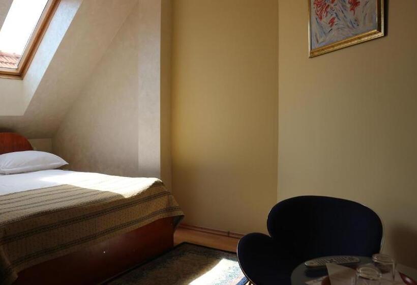 חדר סטנדרט יחיד, Pensiunea Andy