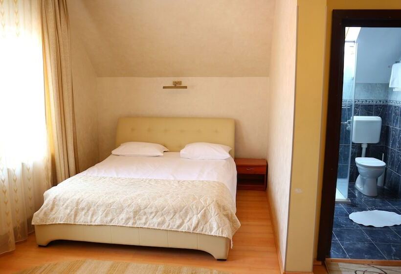 חדר סטנדרט יחיד, Pensiunea Andy