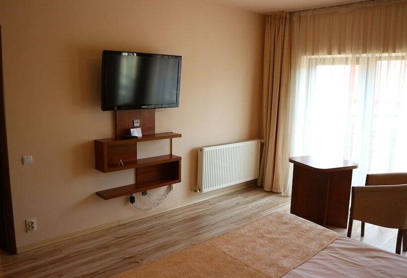 חדר סטנדרט, Pensiunea Andy