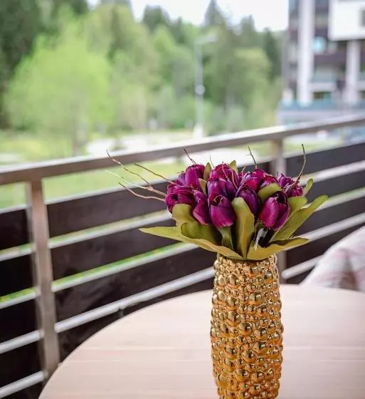 １ベッドルームアパートメント, Silver Mountain Resort & Spa