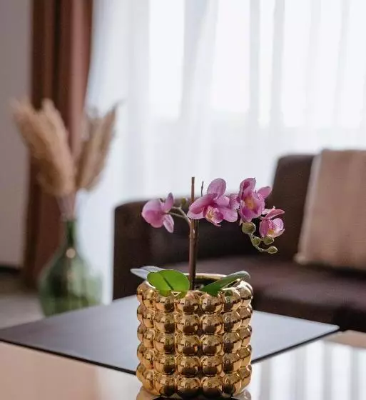 １ベッドルームアパートメント, Silver Mountain Resort & Spa