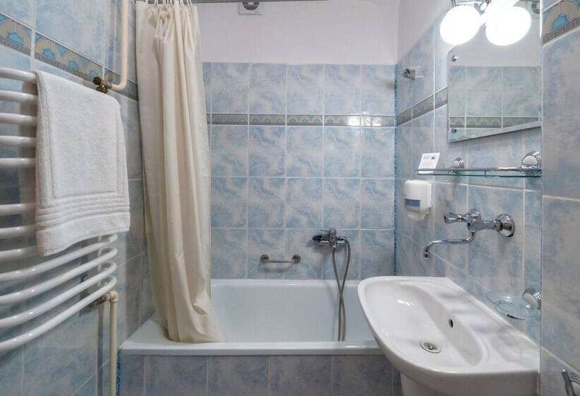 اتاق استاندارد یک نفره, Zespół Dolina Białego   Pensjonat Telimena