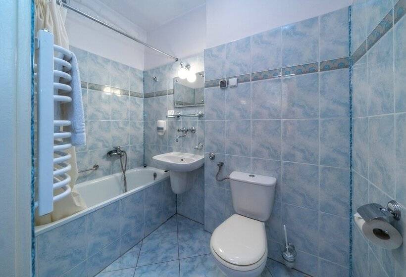 اتاق استاندارد یک نفره, Zespół Dolina Białego   Pensjonat Telimena