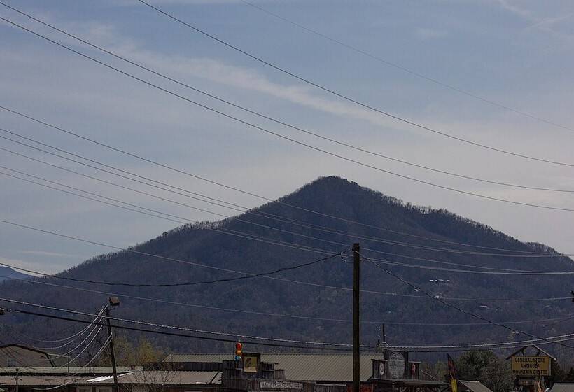 1间卧室的房子, Bears Valley #171