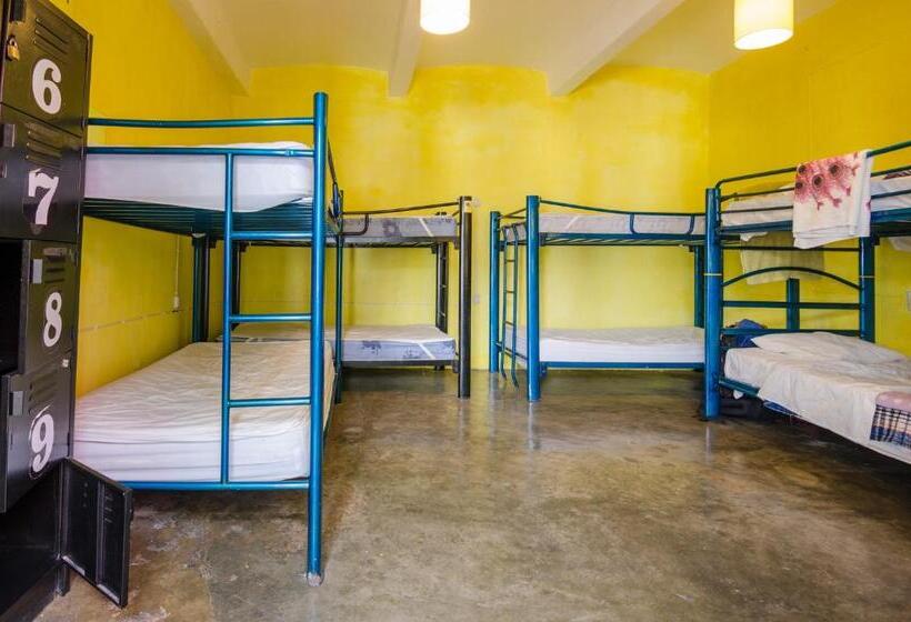Кровать в Общей Комнате, Casa De Don Pablo Hostel