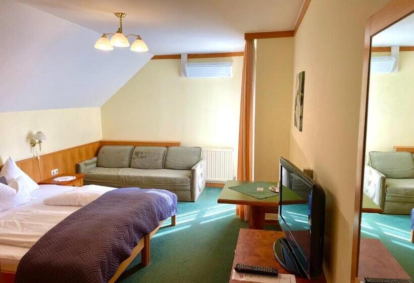 غرفة قياسية مزوَّدة بشُرفة, Pension Thermenland