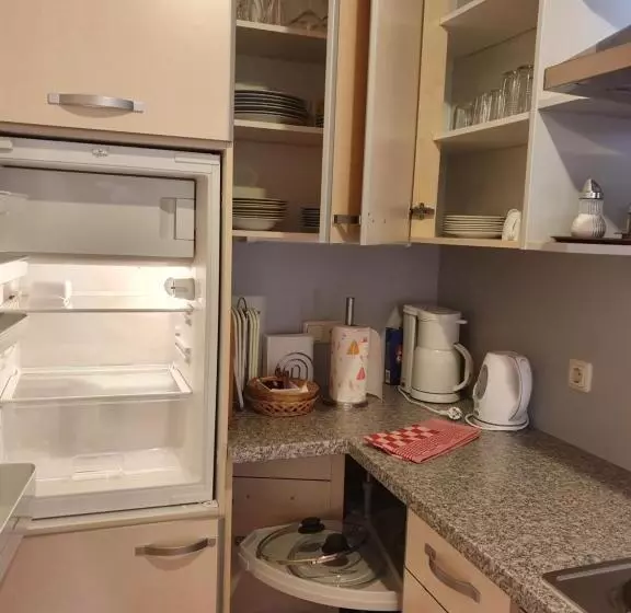 آپارتمان 1 خوابه با تراس, Pension Thermenland
