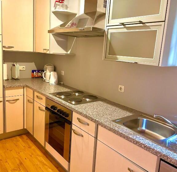 شقة غرفة واحدة مزودة بتراس, Pension Thermenland