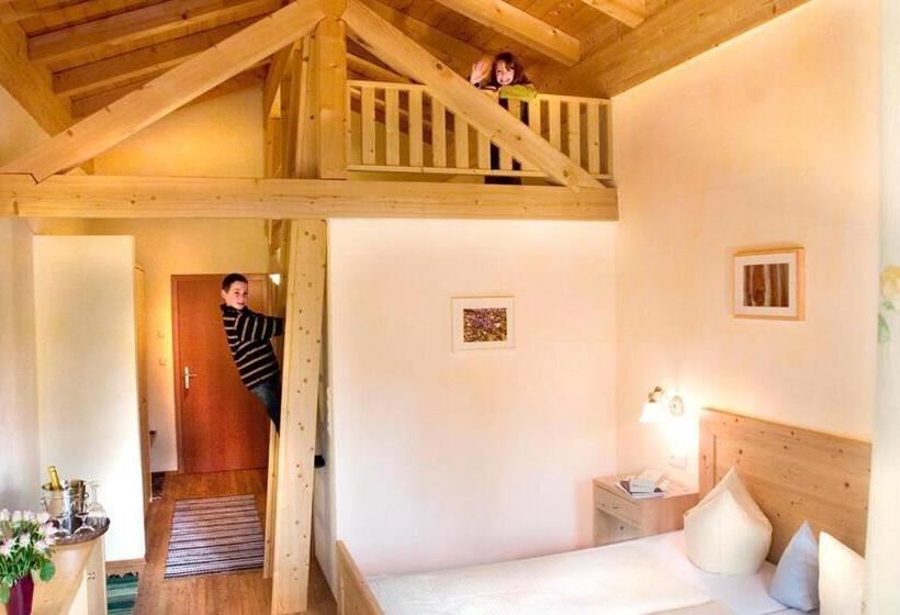 マウンテンビュースタンダードルーム, Gasthof Stuibenfall