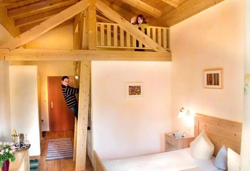 マウンテンビュースタンダードルーム, Gasthof Stuibenfall