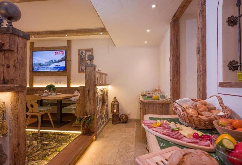 آپارتمان 1 خوابه, Gästehaus Hölzl