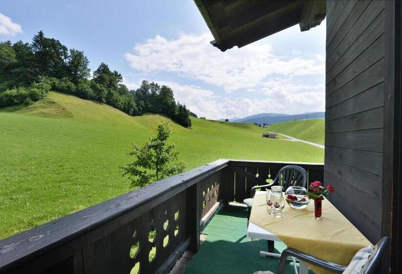 آپارتمان 1 خوابه, Gästehaus Hölzl