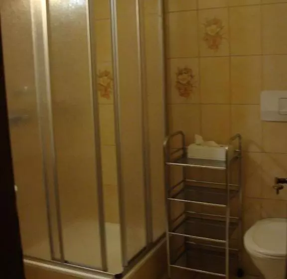 Comfort room with balcony, Garni Schieferle