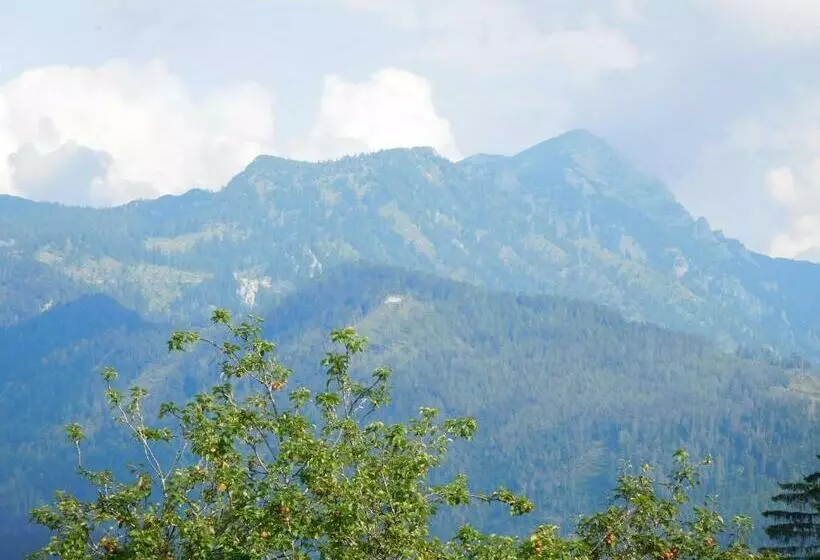 バルコニー付きスタンダードルーム, Urlaub Am Bauernhof Blamauer Köhr