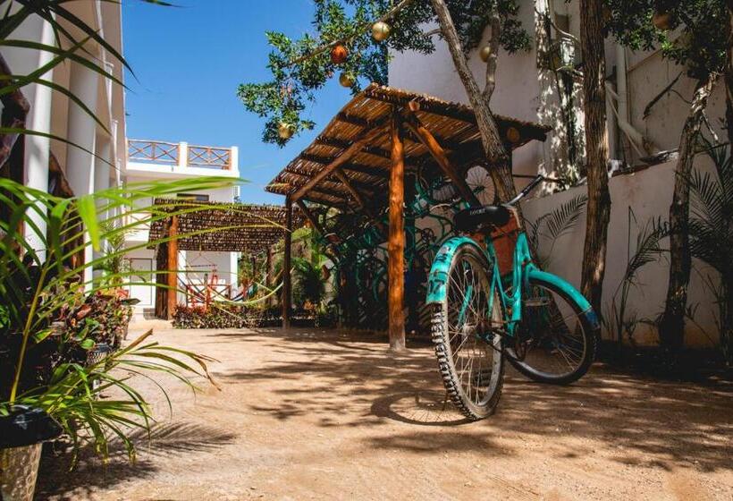 דירת חדר בקומת קרקע, Villas Palmar Holbox