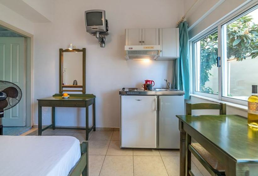 اتاق اکونومی, Akti Galinis