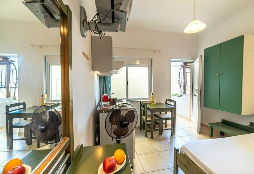 اتاق اکونومی, Akti Galinis