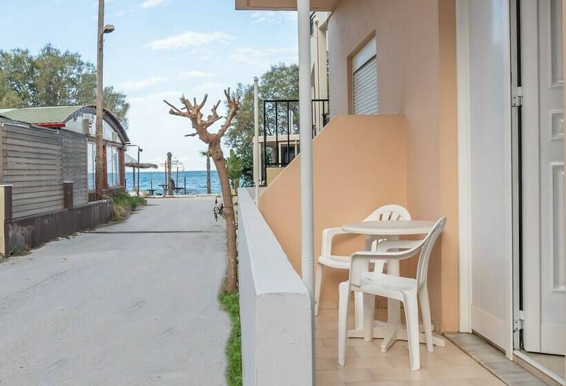 اتاق عادی, Akti Galinis