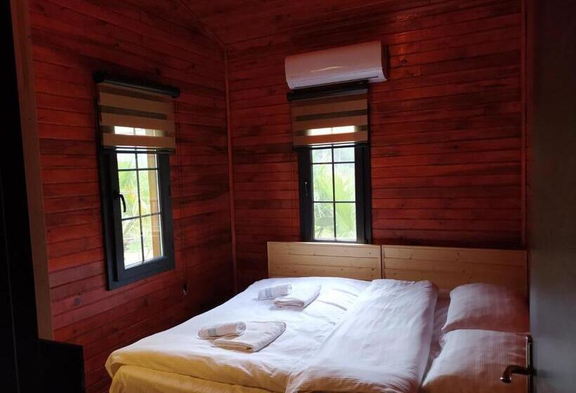 بنگله خانوادگی, Babylontown