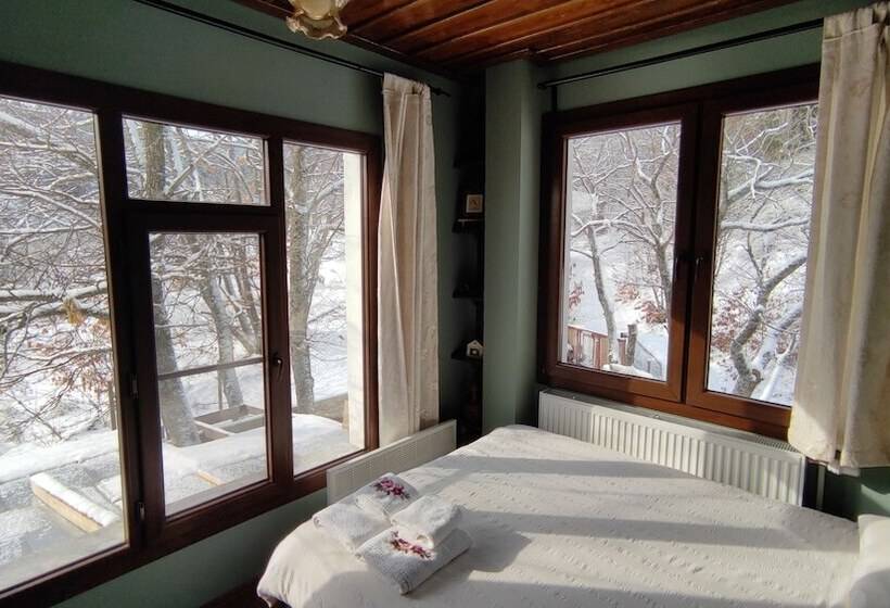 Quarto Dúplex, Torrhebia Dag Evi