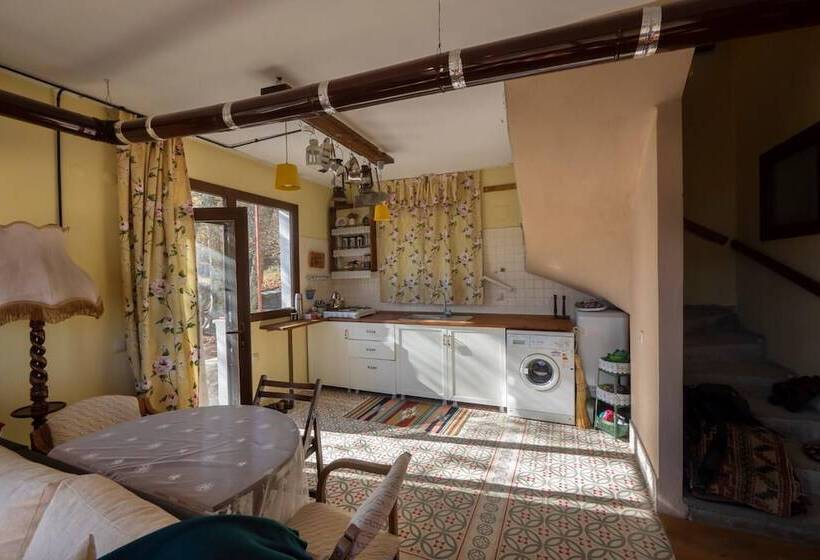 غرفة دوبلكس, Torrhebia Dag Evi