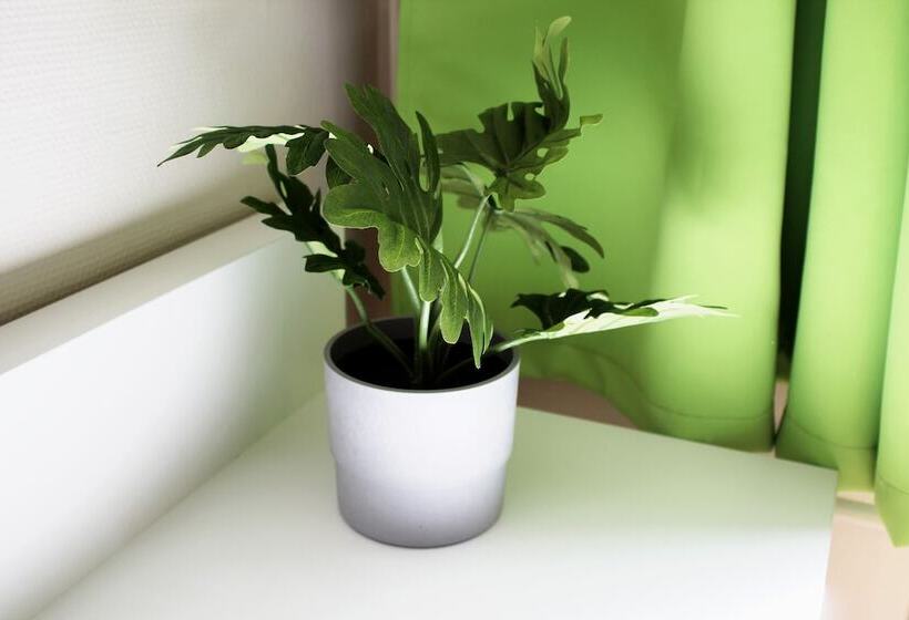 Номер Стандарт Индивидуальный, Rheinsteig Quartier By Bestprice Hotels