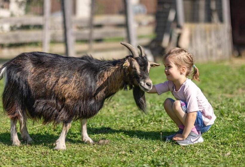 דירה בת חדר שינה 1 עם מרפסת, Erlebenswert Bauernhof Gruber