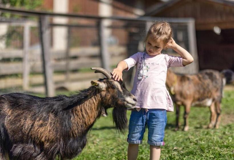 דירה בת חדר שינה 1 עם מרפסת, Erlebenswert Bauernhof Gruber