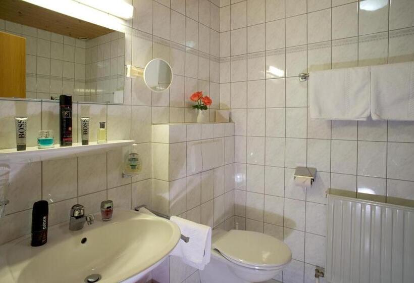 غرفة قياسية, Alpenpanorama