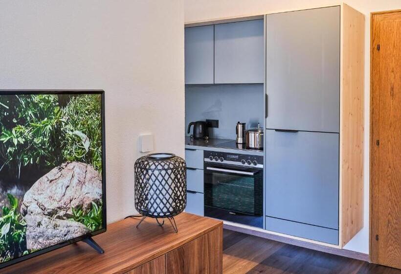 آپارتمان 1 خوابه با چشم‌انداز باغ, Design Apartments & Zimmer   Zugspitze