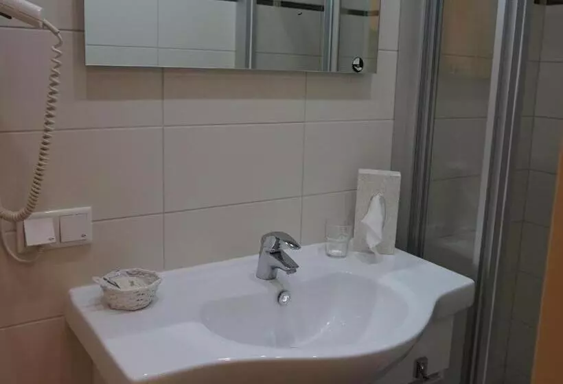 اتاق استاندارد یک نفره, Landhotel Pacher