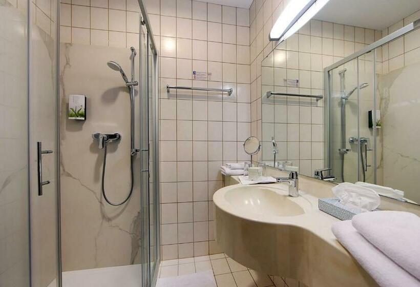 带观景的标准间, Rose