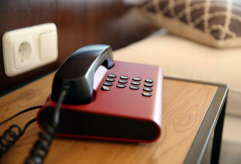 带观景的标准间, Rose