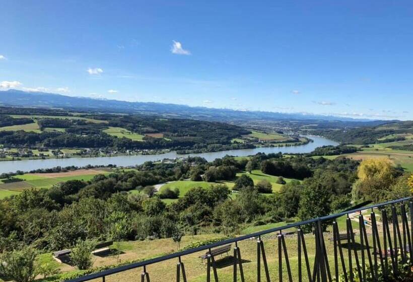 带观景的标准间, Rose