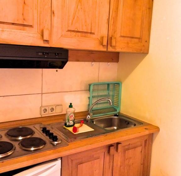 דירת חדר בקומת קרקע, Karawanken Lodge