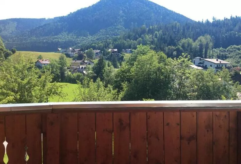 バルコニー付き１ベッドルームアパートメント, Eisenstattgut Faistenau