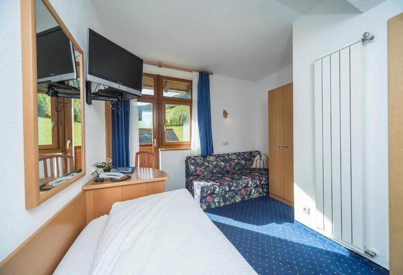 标准单人间, Ski In I Ski Out Gourmethotel Sonnleiten