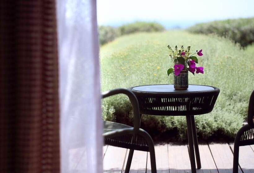 جناح جونيور مزوَّد بتراس, La Foresteria Wine Resort & Beach Club