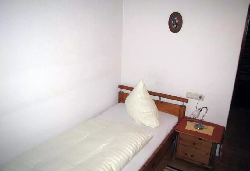 Standard Yhden Hengen Huone, Pension Sydler