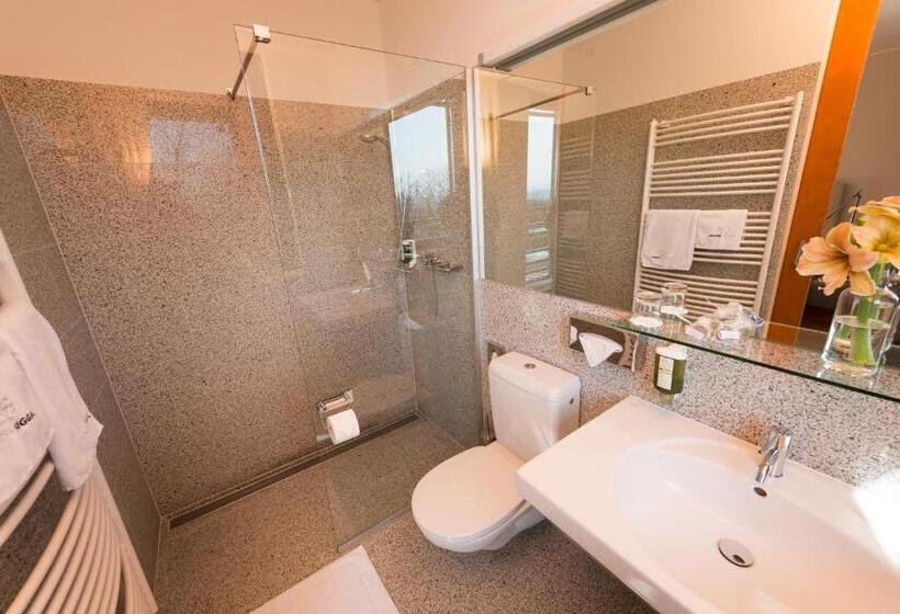 标准间, Schloss Seggau