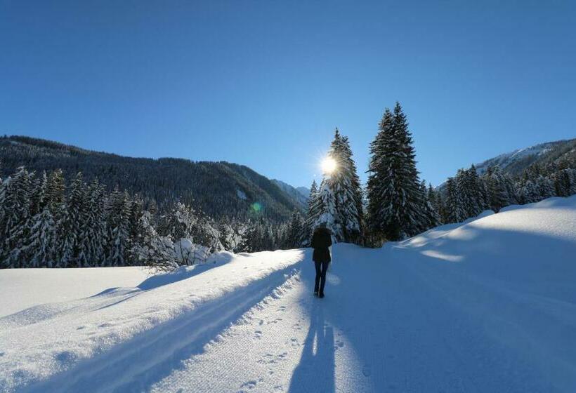 스탠다드 전망 룸, Schöne Aussicht