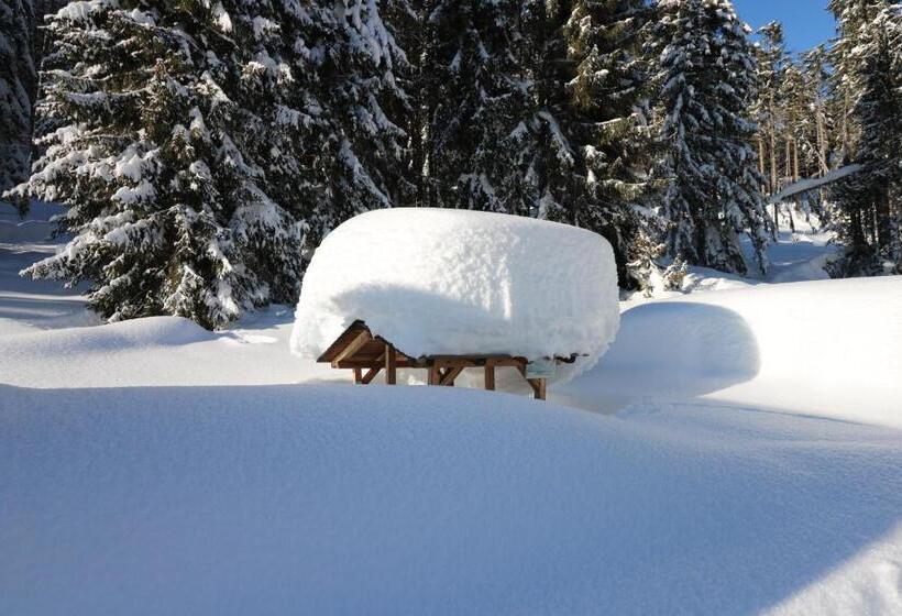 스탠다드 룸, Schöne Aussicht