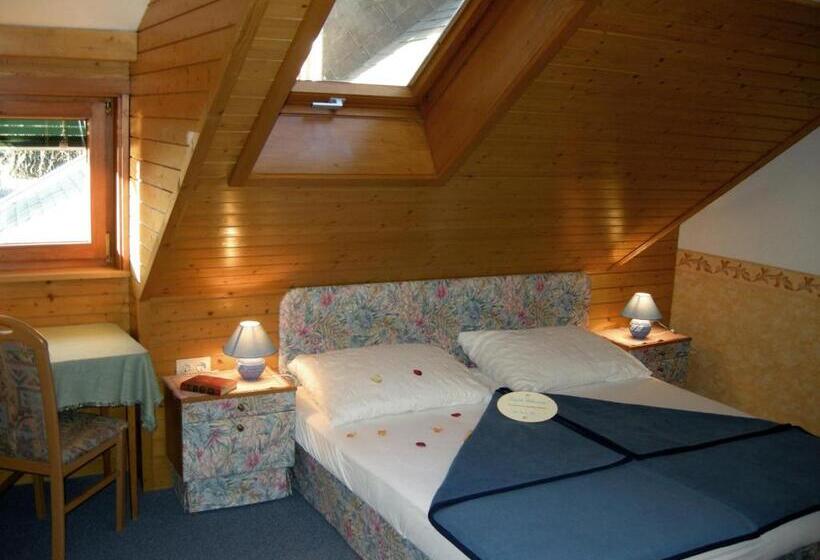 Standard studio with lake view, Staudacher Hof Das Romantische Haus