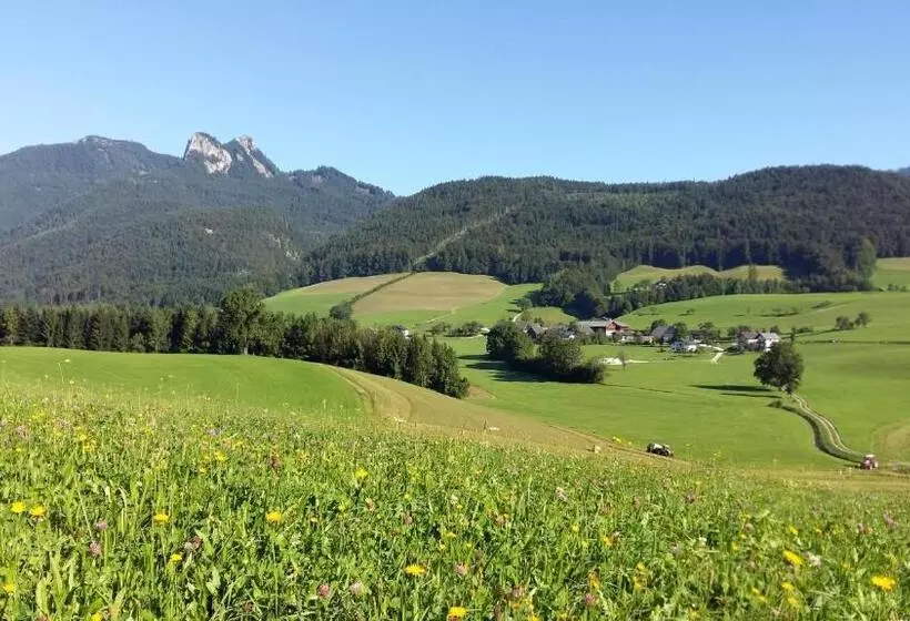Comfort-huone, Weinbachbauer Urlaub Am Bauernhof