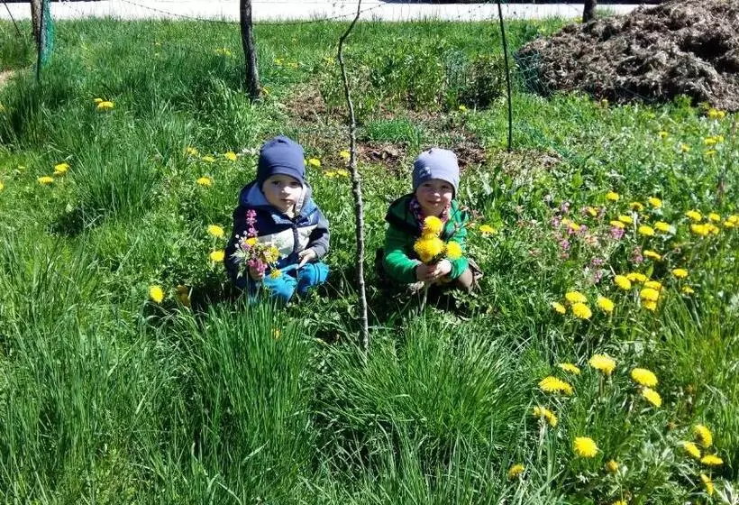 Standard-huone, Weinbachbauer Urlaub Am Bauernhof