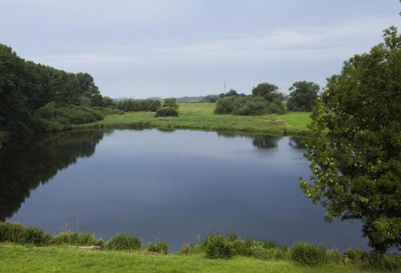 スタンダードルーム, Lange