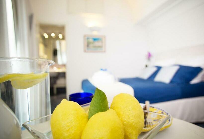 スタンダードシティビュールーム, Residenza Pansa B&b