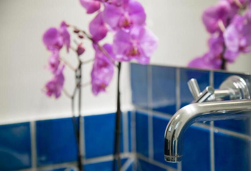 スタンダードシティビュールーム, Residenza Pansa B&b