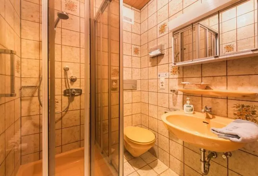 シングルベーシックルーム, Alpenhotel Sonneck Mit Bergbahnticket